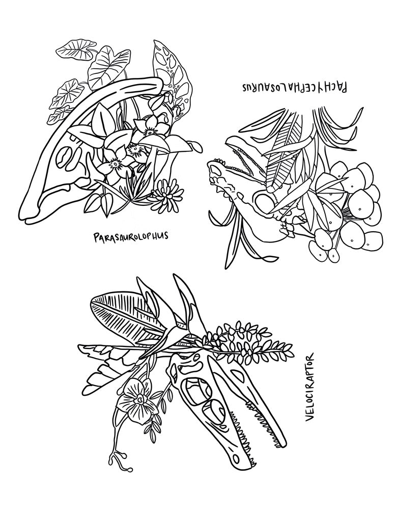 Botanical Dinosaur Stick & Stitch (Pack B)