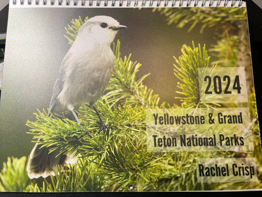 Greater Yellowstone Ecosystem 2024 Calendar